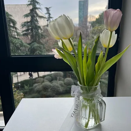 Piazza Center * 地拉那