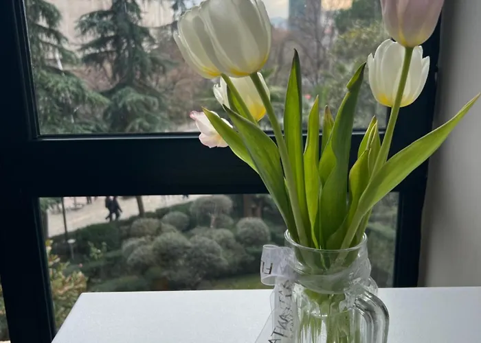 Piazza Center * Tirana